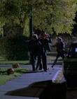 timr10_282429.jpg