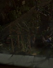 Filename=timr15_288129.jpg
Filesize=63KiB
Dimensions=720x540
Date added=Dec 29, 2023 timr15_288129.jpg