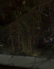 Filename=timr15_288229.jpg
Filesize=64KiB
Dimensions=720x540
Date added=Dec 29, 2023 timr15_288229.jpg