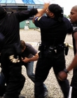 2004_-_Dawn_of_the_Dead_mp42513.jpg