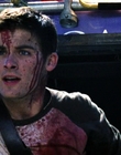 Filename=2004_-_Dawn_of_the_Dead_mp46041.jpg
Filesize=825KiB
Dimensions=1920x816
Date added=Dec 29, 2023 2004_-_Dawn_of_the_Dead_mp46041.jpg