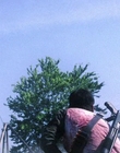2004_-_Dawn_of_the_Dead_mp46042.jpg