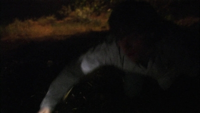 2004_-_The_Hollow_mp44352.jpg