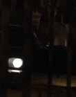2004_-_The_Hollow_mp41238.jpg