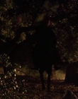 2004_-_The_Hollow_mp43538.jpg