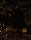 2004_-_The_Hollow_mp43539.jpg