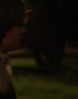 2004_-_The_Hollow_mp44536.jpg