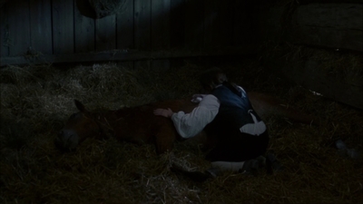 2005_-_Felicity_An_American_Girl_Adventure_mp44760.jpg