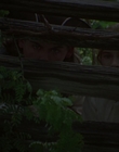 2005_-_Felicity_An_American_Girl_Adventure_mp41827.jpg