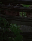 2005_-_Felicity_An_American_Girl_Adventure_mp41853.jpg