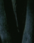 Filename=2006_-_Its_A_Boy_Girl_Thing_mp40109.jpg
Filesize=579KiB
Dimensions=1906x798
Date added=Dec 29, 2023 2006_-_Its_A_Boy_Girl_Thing_mp40109.jpg
