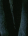 Filename=2006_-_Its_A_Boy_Girl_Thing_mp40110.jpg
Filesize=589KiB
Dimensions=1906x798
Date added=Dec 29, 2023 2006_-_Its_A_Boy_Girl_Thing_mp40110.jpg