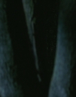 Filename=2006_-_Its_A_Boy_Girl_Thing_mp40111.jpg
Filesize=597KiB
Dimensions=1906x798
Date added=Dec 29, 2023 2006_-_Its_A_Boy_Girl_Thing_mp40111.jpg