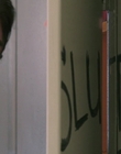 2006_-_Its_A_Boy_Girl_Thing_mp42459.jpg