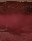 2006_-_Z00m_mp44293.jpg