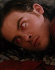 2006_-_Z00m_mp44296.jpg