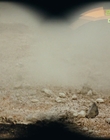 2006_-_Z00m_mp44392.jpg