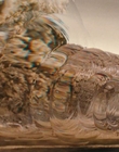 2006_-_Z00m_mp44521.jpg