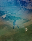 2006_-_Z00m_mp44682.jpg
