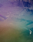 2006_-_Z00m_mp44683.jpg