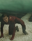 2006_-_Z00m_mp44691.jpg
