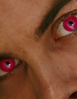 2006_-_Z00m_mp44738.jpg