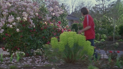 2007_-_Normal_mp44563.jpg