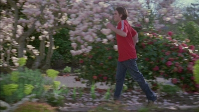 2007_-_Normal_mp44564.jpg