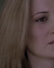 2007_-_Normal_mp42797.jpg