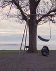 2007_-_Normal_mp44227.jpg