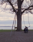 2007_-_Normal_mp44228.jpg