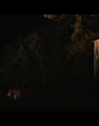 Filename=cap282001.jpg
Filesize=42KiB
Dimensions=720x480
Date added=Dec 29, 2023 cap282001.jpg