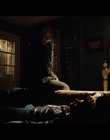 cap292321.jpg