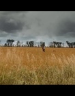 cap300631.jpg