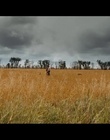 cap300931.jpg