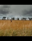cap301081.jpg