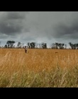 cap301111.jpg