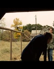 cap331741.jpg
