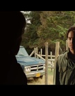 cap333091.jpg