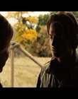 cap333661.jpg