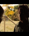 cap333691.jpg