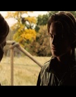 cap333751.jpg