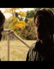 cap333781.jpg