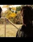 cap333811.jpg