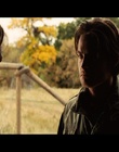 cap333841.jpg