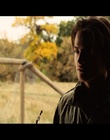 cap334831.jpg