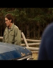 cap336211.jpg