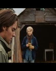 cap336661.jpg