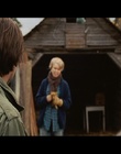 cap337321.jpg