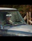 cap338221.jpg